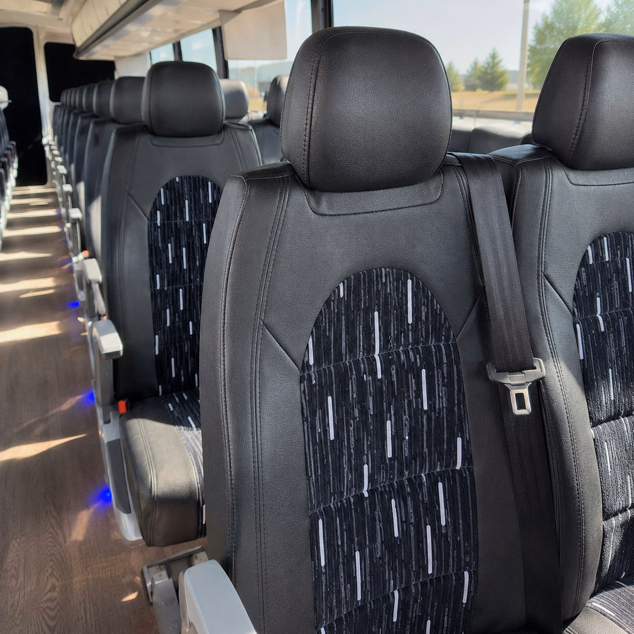compare leander bus rentals from a network of companies in minutes